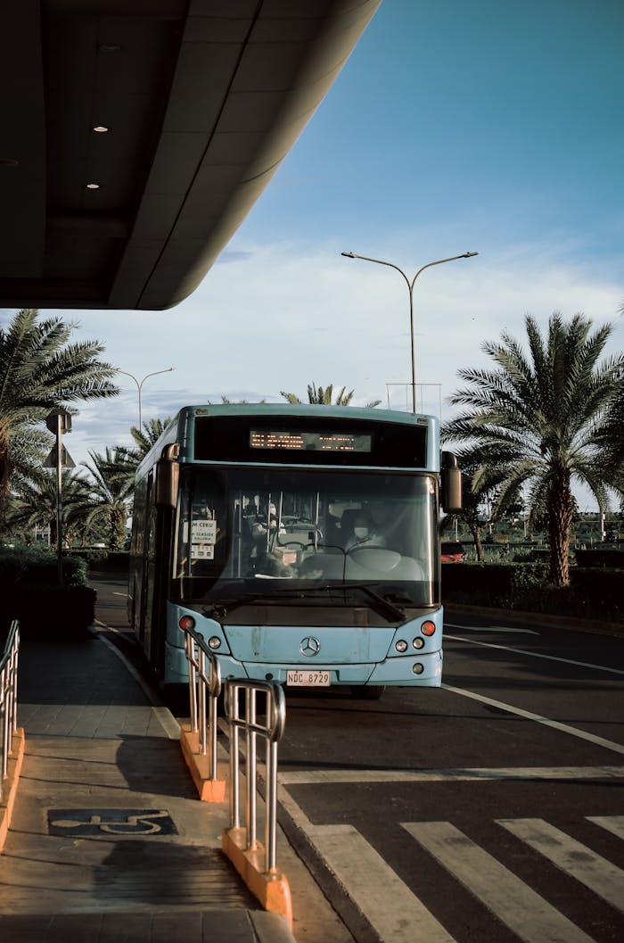 journey-01 A modern blue bus parked at a city bus stop, surrounded by palm trees on a sunny day.