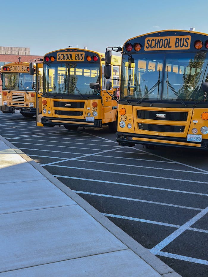 vision Multiple yellow school buses stationary in a parking lot under a clear sky.